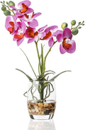 Jusdreen Artificial Purple Orchid in Glass Vase, Realistic Phalaenopsis Arrangement with Potting for Home Office Table Decor, 14.5 Inch Flower Centerpiece
