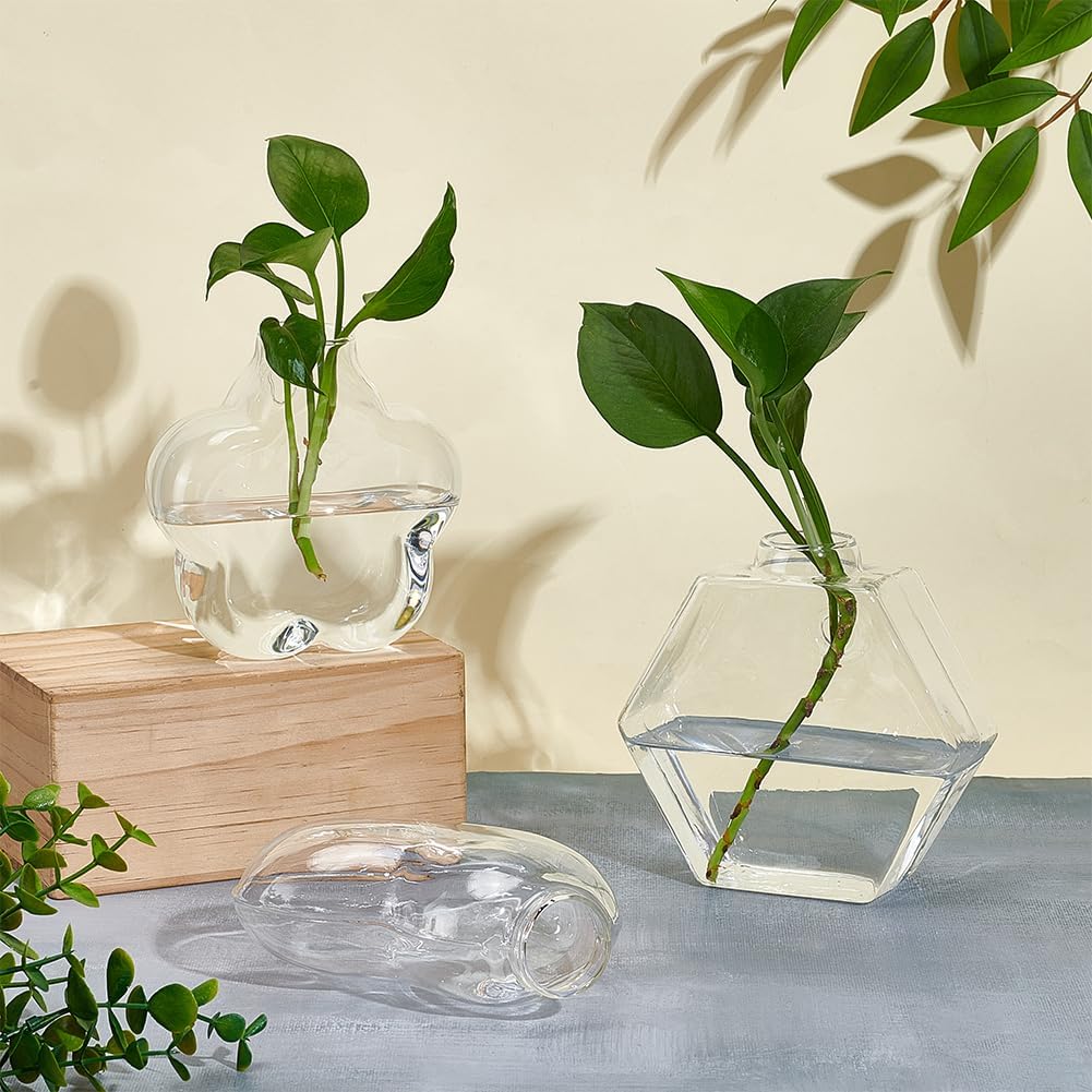 NBEADS 6 Pcs 6 Styles Wall Hanging Planter, Propagation Station Wall Planter Glass Hanging Vase for Indoor Plants, Home Living Room Office Decor