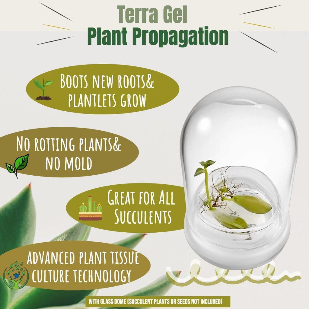 Bloomify Terra Gel Plant Propagation Seed Starter Tray with Glass Dome – Advanced Technology Gardening Supplies Plant Propagation Station for Succulents – Easy to Use Seed Starter Kit
