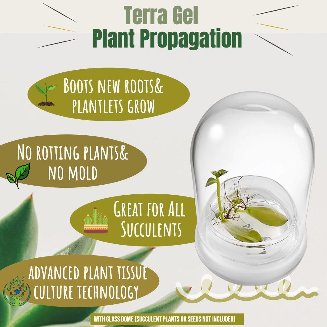 Bloomify Terra Gel Plant Propagation Seed Starter Tray with Glass Dome – Advanced Technology Gardening Supplies Plant Propagation Station for Succulents – Easy to Use Seed Starter Kit