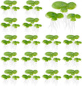 SUPERFINDINGS 90PCS 3 Sizes Artificial Floating Duckweed Plastic Aquarium Floating Plant Artificial Floatings Plants Fish Tank Plant Simulation Floatings Plants for Fish Tank Aquariums