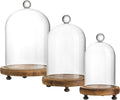 ZEERSHEE Set of 3 Glass Bell Shape Dome with Wooden Base(4.5''/3.7''/3''), Clear Decorative Glass Dustproof Dome with Handle for Home Party Wedding Decor
