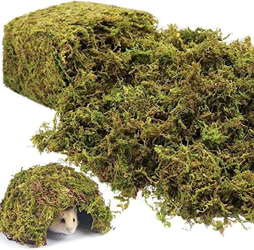 Riare 14OZ Artificial Fake Moss for Fake Plants Indoor- Premium Faux Craft Moss for Potted Plant, Fresh Forest Green for Hamsters Micro-Landscape Terrariums Centerpieces Decor