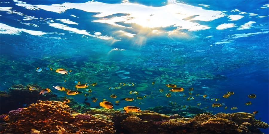 YongFoto Ocean Theme Fish Tank Background 72x16 inch Seaweed Coral Reef Rock Seafloor Tropical Fish Underwater Sea World Polyester Backdrop Reptile Habitat Terrarium Aquarium Background
