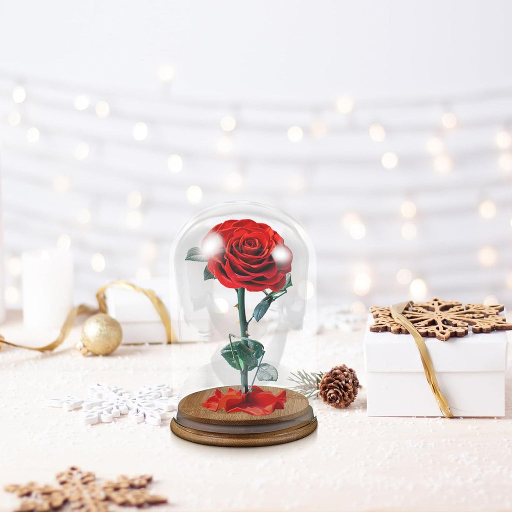 Dome Cloche With Rustic Wooden Base - Glass Cloche Bell Jar Display For Plants Fairy Lights Or Table Decor Collectibles Terrarium
