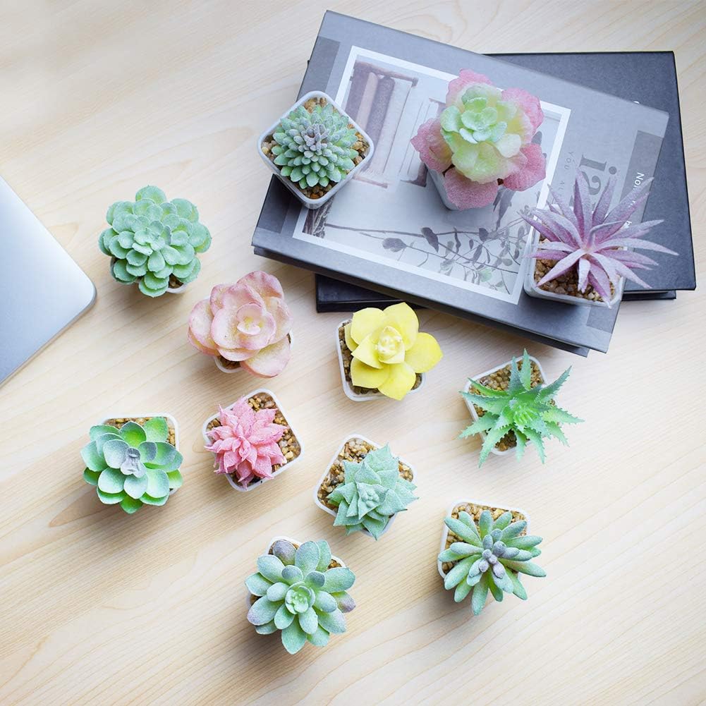 Tiita Artificial Faux Succulents in Pots Fake Plants Plastic Arrangement Planter Small Mini Tiny Decoration for Home Office Desk Window Sill Bathroom Bedroom Outdoor Indoor 12 Set