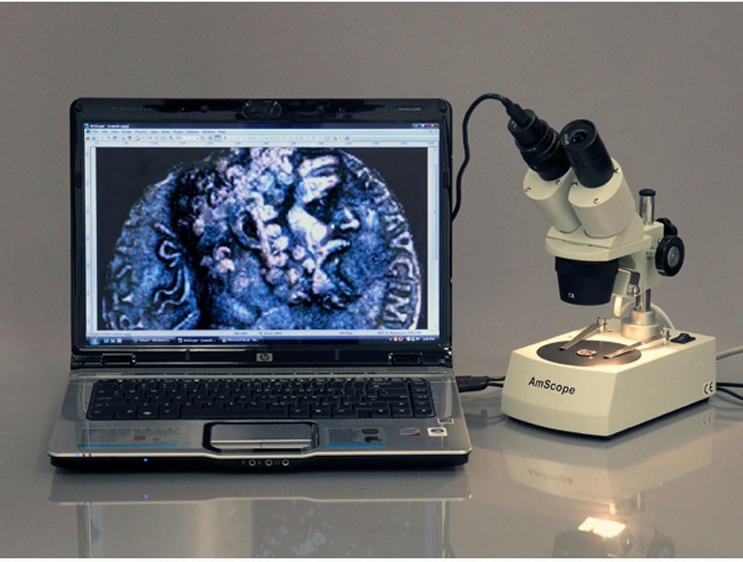 AmScope SE306R-P Forward-Mounted Binocular Stereo Microscope, WF10x Eyepieces, 20X and 40X Magnification, 2X and 4X Objectives, Upper and Lower Halogen Lighting, Reversible Black/White Stage Plate, Pillar Stand, 120V