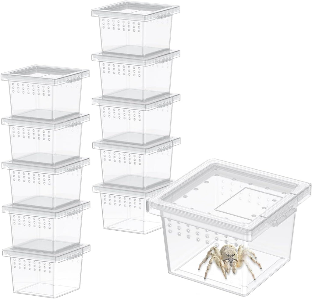 Pawfly 10 Pcs Mini Spider Terrarium Breeding Box, Transparent Plastic Jumping Spider Enclosure Cricket Keeper Tarantula Enclosure, Small Reptile Hatching Container for Scorpion Centipede Gecko Mantis