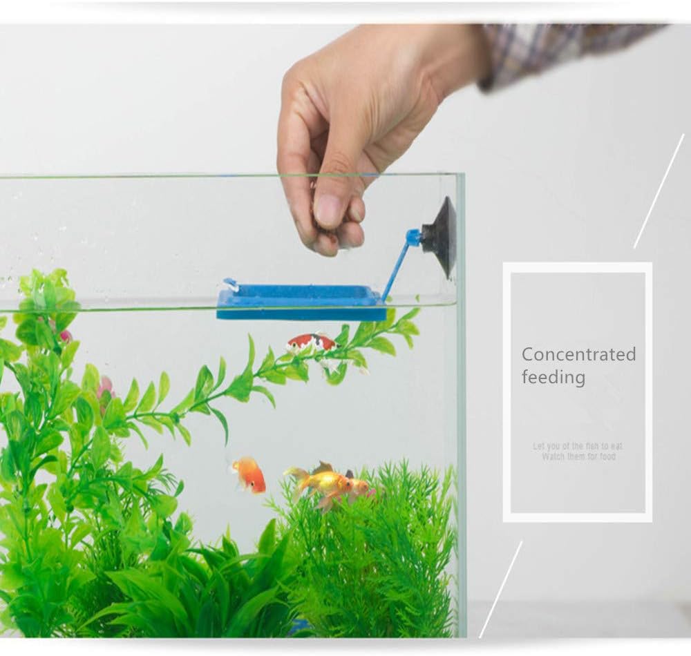 2 Pcs Fish Feeding Ring, Fish Safe Floating Food Feeder Circle Blue, with Suction Cup Easy to Install Aquarium, Square and Round Shape Fish Tank Towels - for Guppy, Betta, Goldfish, Etc. (Blue)¡­