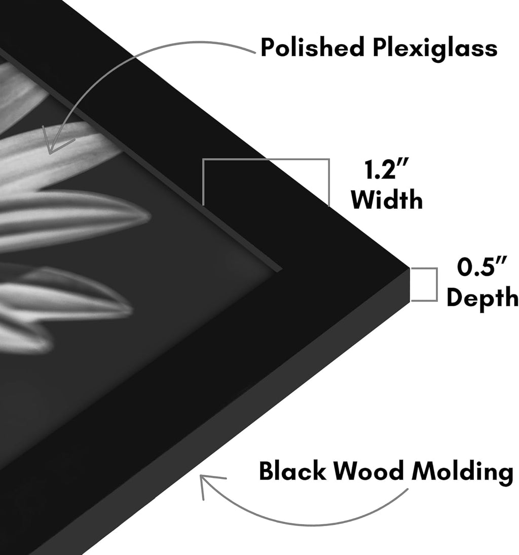 Americanflat 19x26 Picture Frame with Polished Plexiglass - Black Picture Frame - Wide Photo Frames Made of Engineered Wood for Vertical or Horizontal Wall Display - Epic Collection - Black