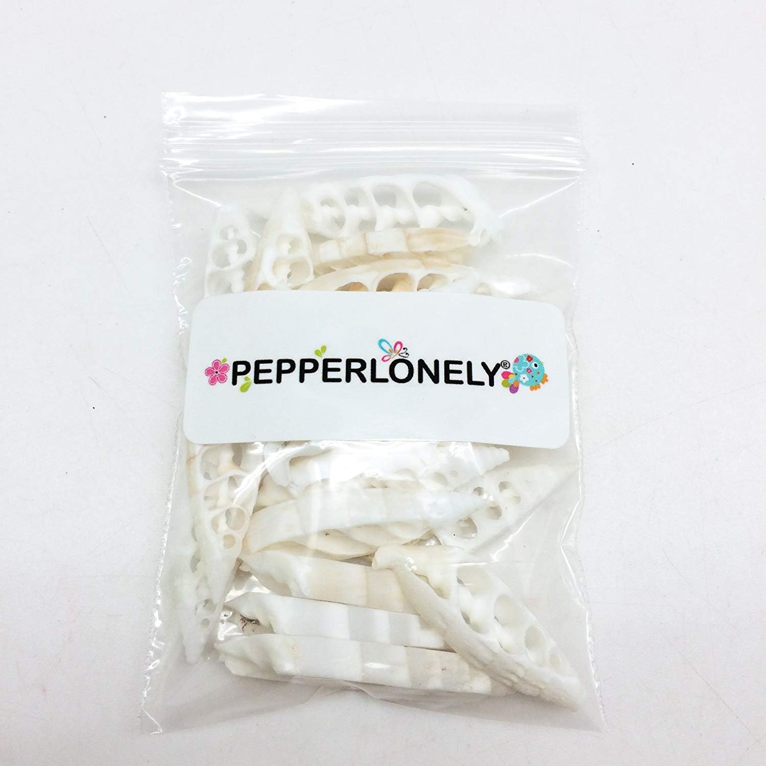 PEPPERLONELY 20 PC White Center Cut Cerithium vertagus Sea Shells, 1-1/2 Inch ~ 2 Inch