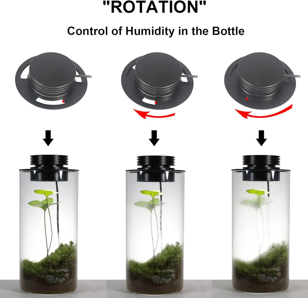 Glass Terrarium Plant Growing Lamp, for Vases Up to 4 Inches in Diameter, Light with Timer Auto On/Off, Indoor Plant Growth, Succulent, Miniature Gardening Landscape (5W 4IN)
