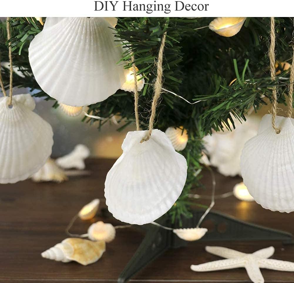 Scallop Shells White Natural Seashell 8 PCS for DIY Craft Mermaid Beach Wedding Home Decoration(4-5inch)