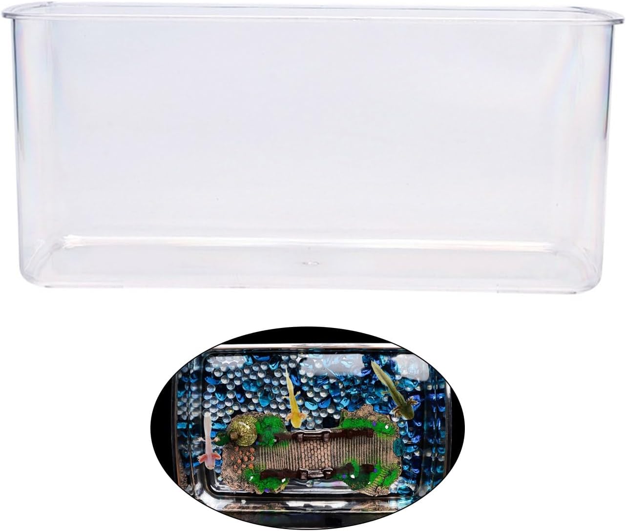 Clear Fish Tanks Axolotls Bowl for Desktops Clear Display Versatile Acrylic Tanks for Axolotls Newts Acrylic Aquarium