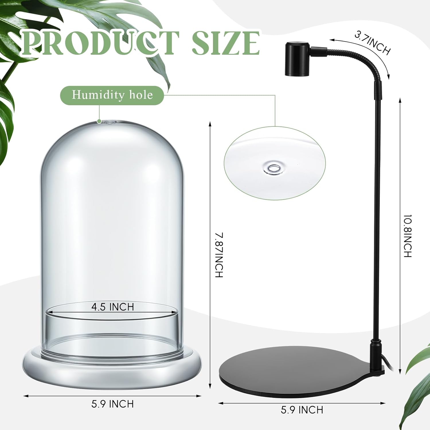 Maxdot Plant Terrarium Kit with Grow Light, 4.8'' x 7.87'' Glass Dome Terrarium with Air Hole and Base, Succulent Air Planter Fern Moss Micro Landscape Vase for Home Office Tabletop Decoration