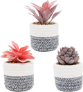 VIVERIE 3Pcs Fake Succulent Plants in Boho Removable Rope Basket Pot Set- Farmhouse Faux Cactus Plant for Home Decor Indoor Bedroom Bathroom Office Desk Shelf Boho Room Kitchen Decor and Accessories