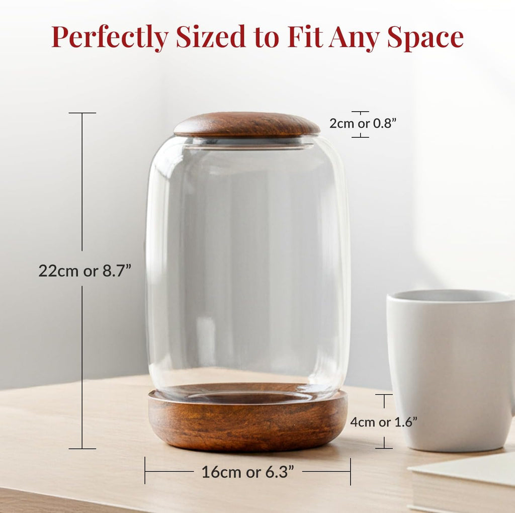 Exclusive Glass Terrarium, Beautifully Enhanced by a Natural Wood lid and Base. Excellent for Plants and Decoration. for Home and Office. Size: 6.3 Diameter by 8.7 Tall (Inches)