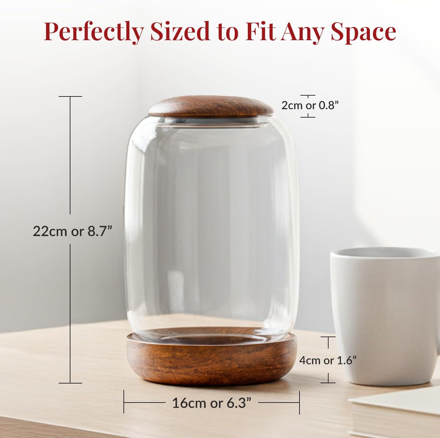 Exclusive Glass Terrarium, Beautifully Enhanced by a Natural Wood lid and Base. Excellent for Plants and Decoration. for Home and Office. Size: 6.3 Diameter by 8.7 Tall (Inches)