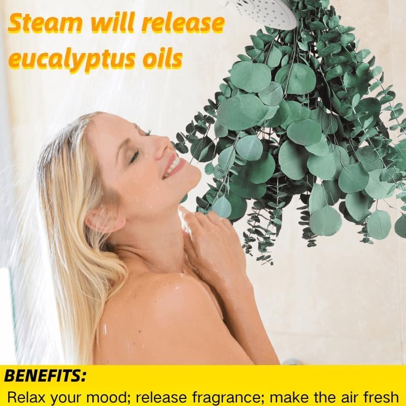 32 Pcs Large Dried Eucalyptus & Silver Dollar Leaves Bundle - 100% Natural Real Fresh Plants, 17" Preserved Eucalyptus Stems for Shower Hanging, Bathroom Decor, Garland, Greenery Plant (32)