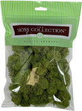 Preserved Reindeer Moss - Moss for Crafts, Home Decor, Art, Design & DIY Projects - Non-Toxic - USA Made (Spring Green, Small)
