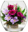 Luxury Orchid Arrangement | Preserved Orchids in Glass Vase | Long-Lasting Flowers for Anniversary, Wedding, or Corporate Gifts