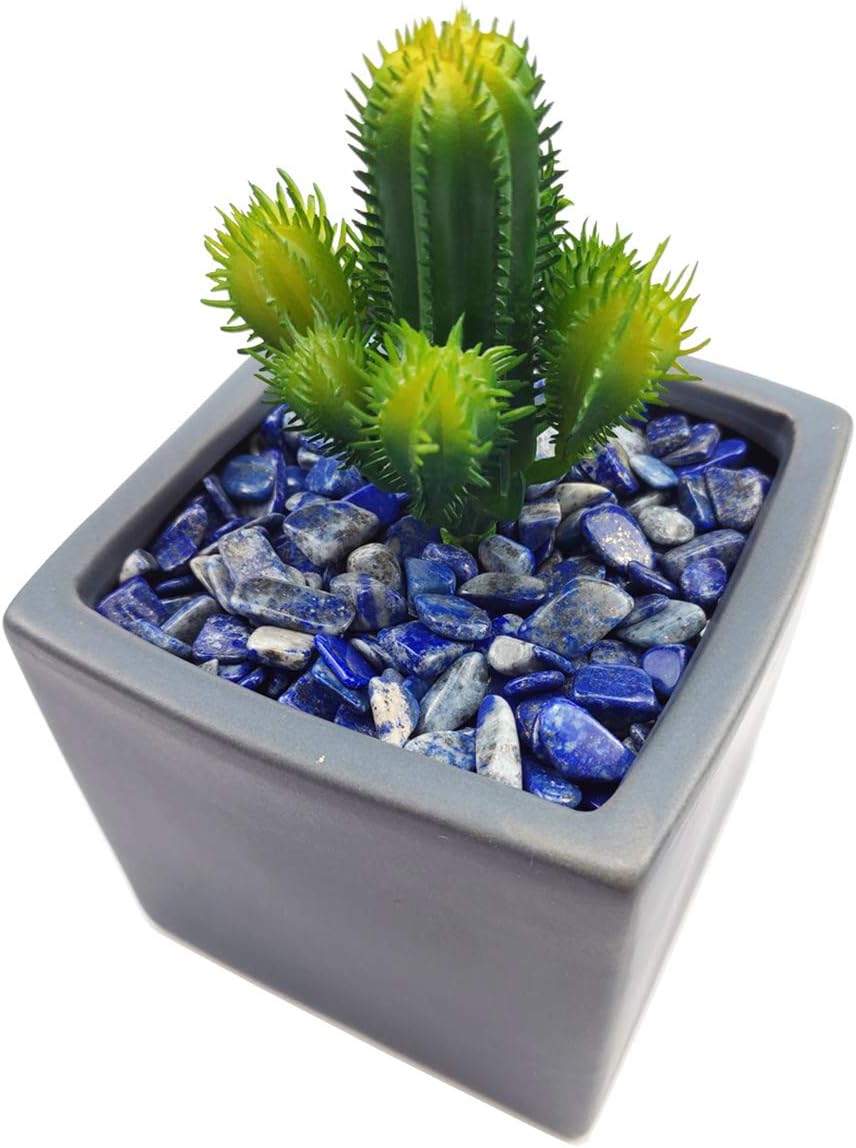 WAYBER 1 Lb/460g Deep Blue Lapis Lazuli Pebbles Irregular Decorative Stones Natural Crystal Rock Gravel for Aquarium/Fish Turtle Tank/Succulent Plants/Air Plants Decoration (Fill 0.9 Cup)