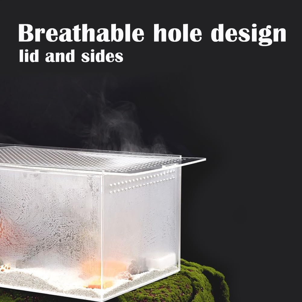Jumping Spider Enclosure with Magnetic Button,6 * 6 * 8" Thickened Tarantula Reptile Enclosure，One-Piece Acrylic Reptile Terrariums for Spider,Praying Mantis,Tarantula,Snail,Isopod Enclosure