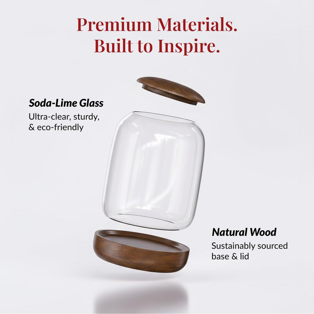 Exclusive Glass Terrarium, Beautifully Enhanced by a Natural Wood lid and Base. Excellent for Plants and Decoration. for Home and Office. Size: 6.3 Diameter by 8.7 Tall (Inches)