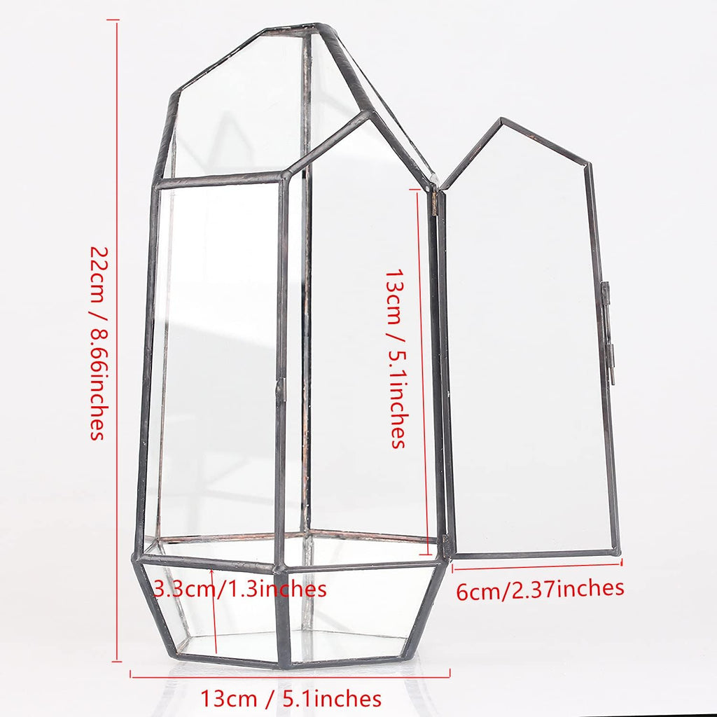 NCYP Small 5.1" x 5.1" x 8.66" Irregular Geometric Glass Terrarium Planter with Door - Home Tabletop Display Container Pot for Succulents, Cacti - Indoor Clear Decor, Black (No Plants)
