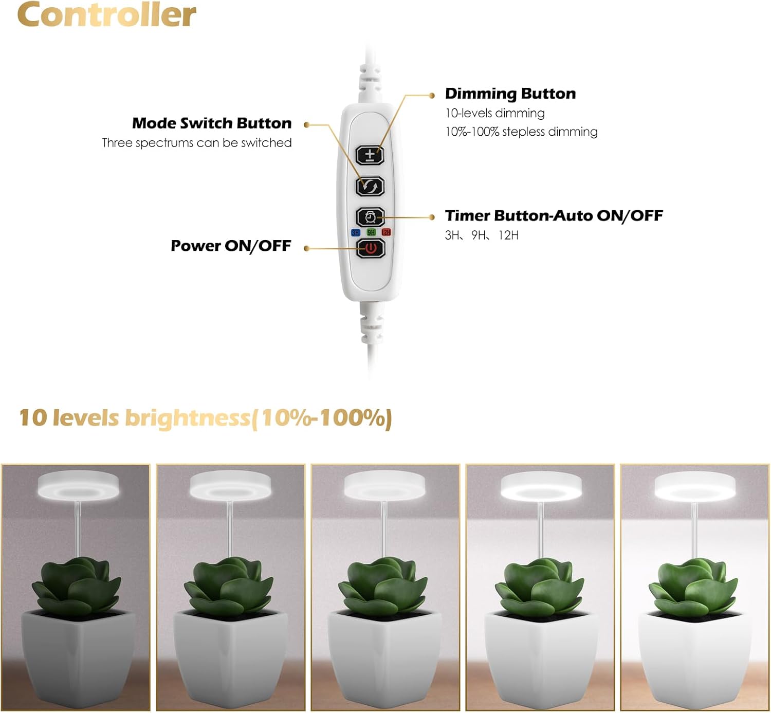 GLOWRIUM Grow Lights for Indoor Plants, Full Spectrum LED Grow Light Floor Lamp with Stand Adjustable Height and Angle, Black Plant Light with 3/9/12H Grow Light Timer (White, 12W)