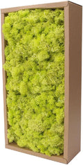 Preserved Reindeer Craft Moss-17.6oz Natural Green DIY Kit Gardenning Art Wall Florist Moss Terrariums Gardenning Decor Landscape Garden Decor(Yellow Green 17.6 OZ)