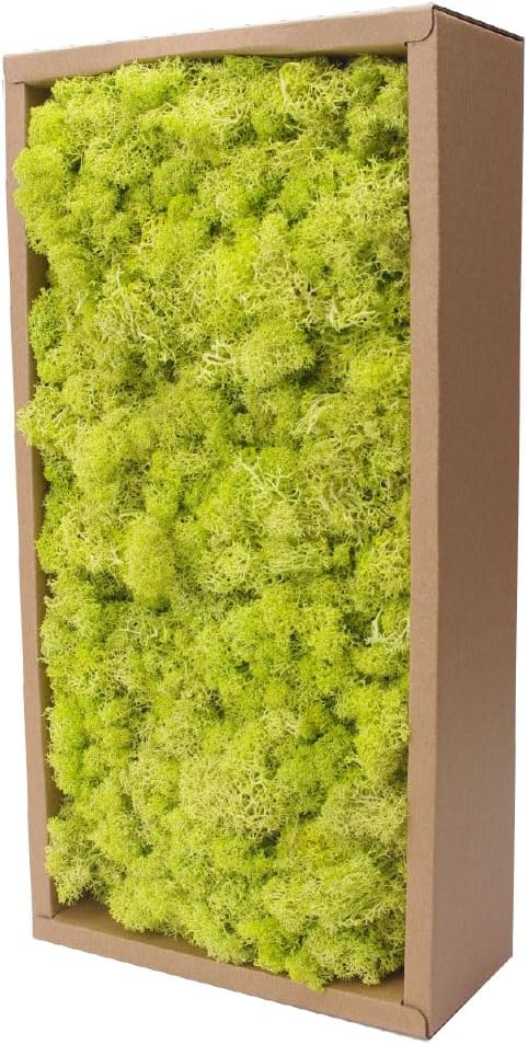 Preserved Reindeer Craft Moss-17.6oz Natural Green DIY Kit Gardenning Art Wall Florist Moss Terrariums Gardenning Decor Landscape Garden Decor(Yellow Green 17.6 OZ)