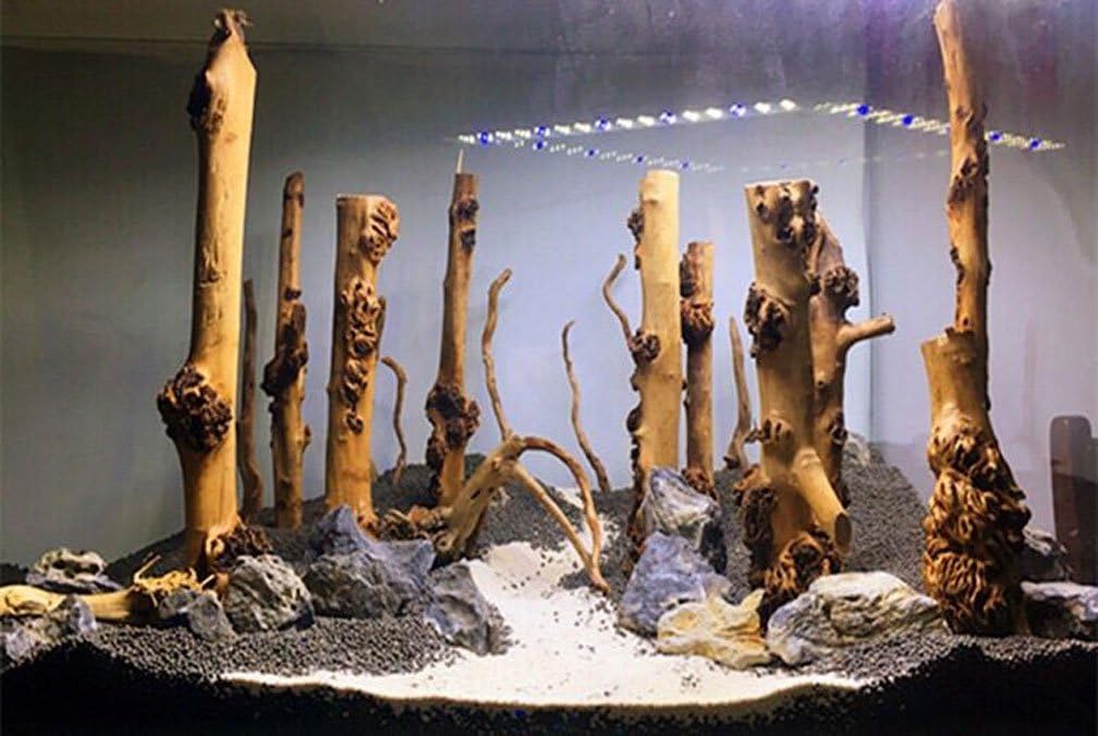 emours Reptile Décor Natural Forest Branch Terrarium Wood Aquarium Ornament, 4 Pack