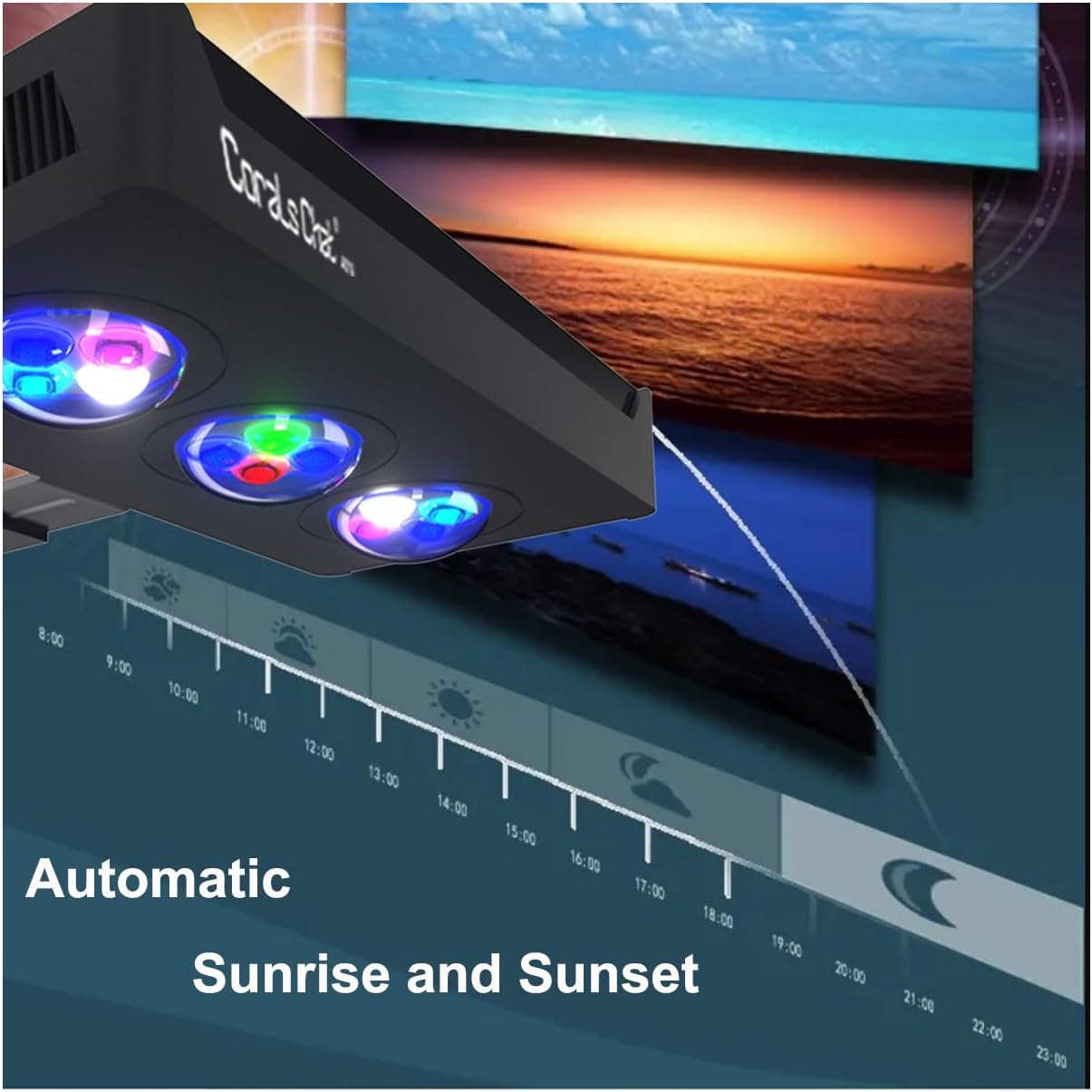 Aquarium Reef LED Light,40W Cree Full Spectrum Marine Saltwater Coral LED Light Lamp with Timer and Sunrise Sunset Moonlight Control for LPS/SPS Fish Nano Tank