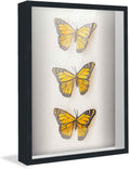 16x20 Shadow Box Frame Black | 1 Inch Deep Solid Wood Shadowbox Display Frame | UV Resistant Acrylic Plexiglass, Acid Free Backing, and Hanging Hardware | Dugan Picture Frame Style