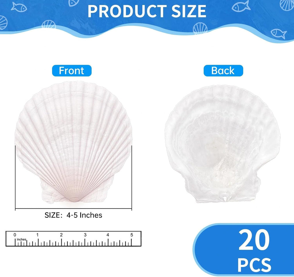 20PCS Large Scallop Shells for Crafts, 4-5 Inch Natural Sea Shells for Decorating, White Seashells Bulk for DIY Crafting, Painting, Baking, Ocean Themed Party Supplies & Decorations