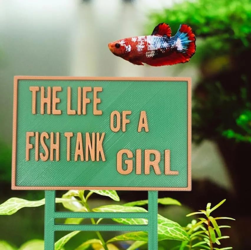 The Life of A Fish Tank Girl Themed Fish Tank Betta Decoration Aquarium Gift for Life of A Fish Decor