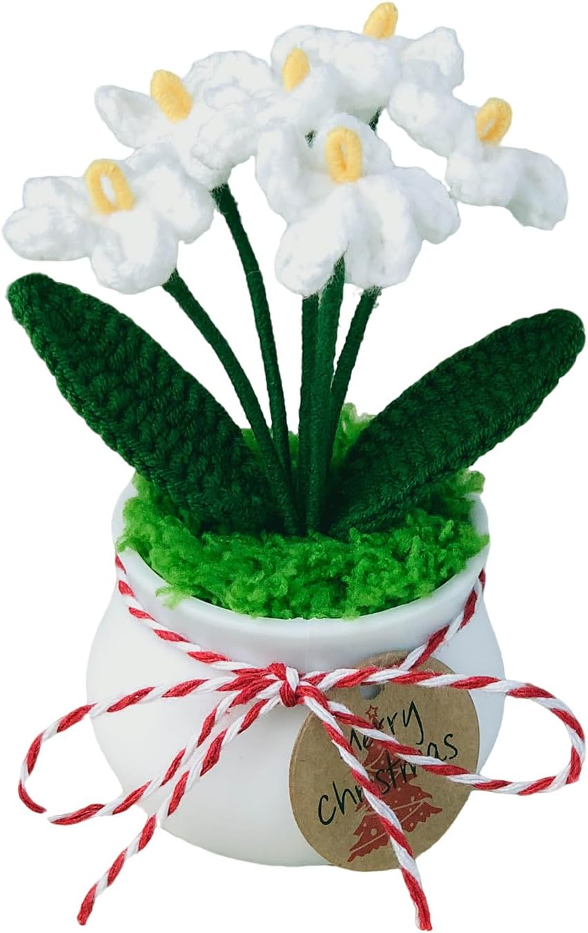 Crochet Flowers Cute Little Potted Flower, Gift for Birthday, Mother's Day, Teacher’s Day, Graduation, Anniversary, Decor for Car Dashboard,Home Office Decoration (White Myosotis)