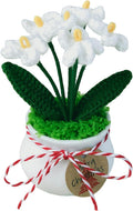 Crochet Flowers Cute Little Potted Flower, Gift for Birthday, Mother's Day, Teacher’s Day, Graduation, Anniversary, Decor for Car Dashboard,Home Office Decoration (White Myosotis)