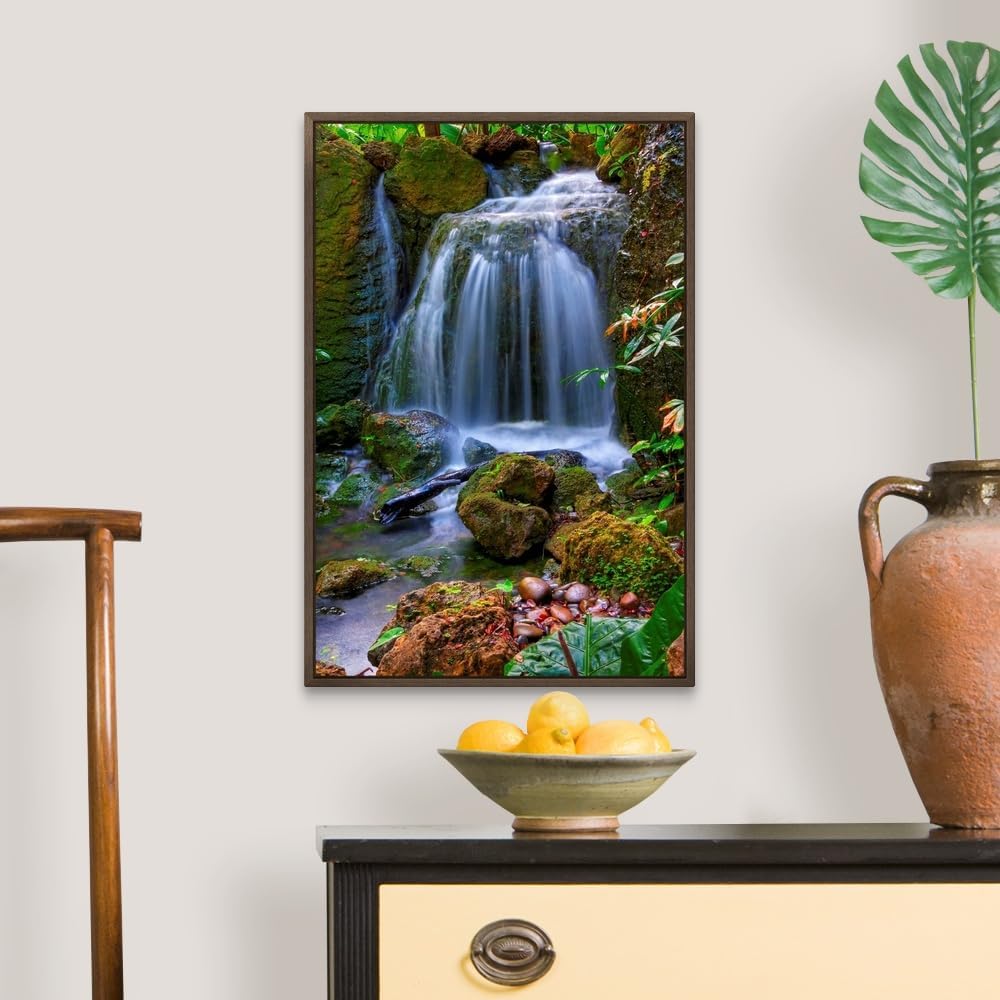 CANVAS ON DEMAND Waterfall in Tropical Rainforest of Fairchild Tropical Gardens, Walnut Float Framed Canvas Wall Art Print, Home Decor, Floral, Flowers, Nature Artwork, 16" x24in