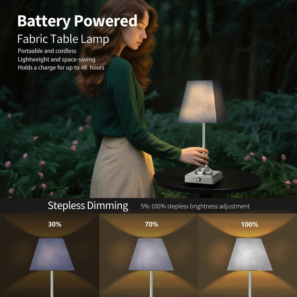 Rechargeable LED Table Lamps with Stepless Touch Control,Light Sliver Cordless Lamp for Living Room&Bedside&Patio&Shower,Small Desk Lamp(6000mAH Battery),1 Pack for Home Decor,Best Gifts for Family