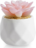 VIVERIE Mini Succulents Plants Artificial in Pots-Rose Pink, Christmas Small Fake Succulents Plants for Home Decor Indoor for Women, White Ceramic Faux Succulents, Set of 1, Gifts for Mom