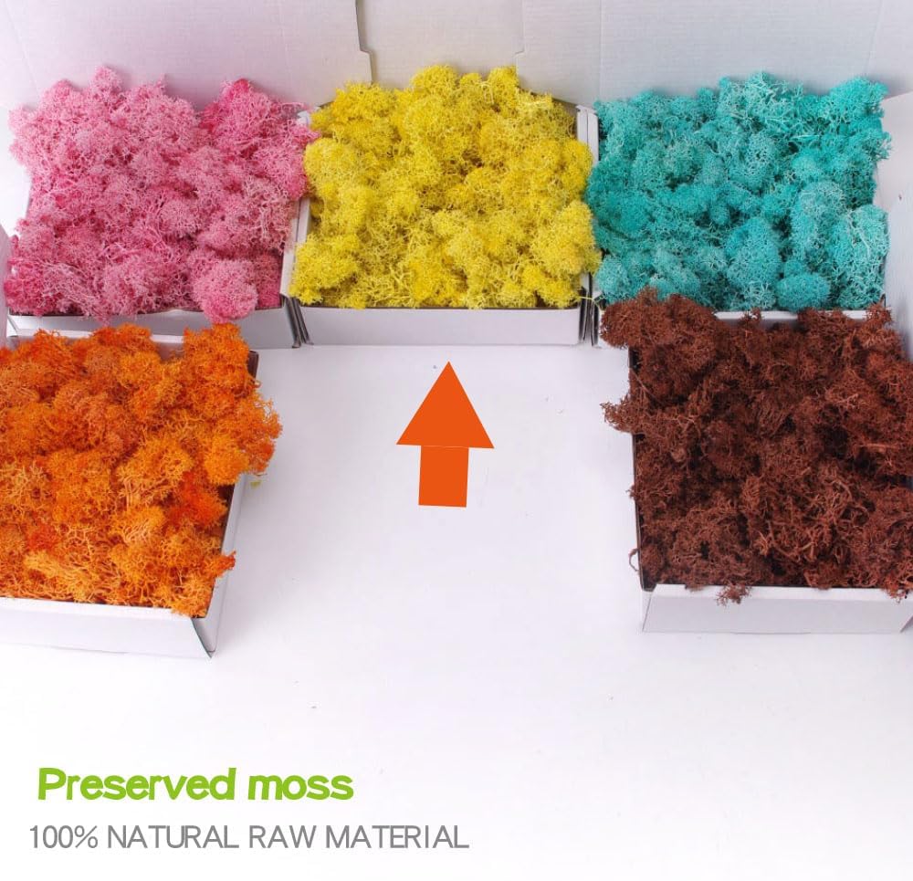 Preserved Moss - 3.5 OZ Faux Moss Decor for Crafts, Art, Wall & Florist Decor (Green)