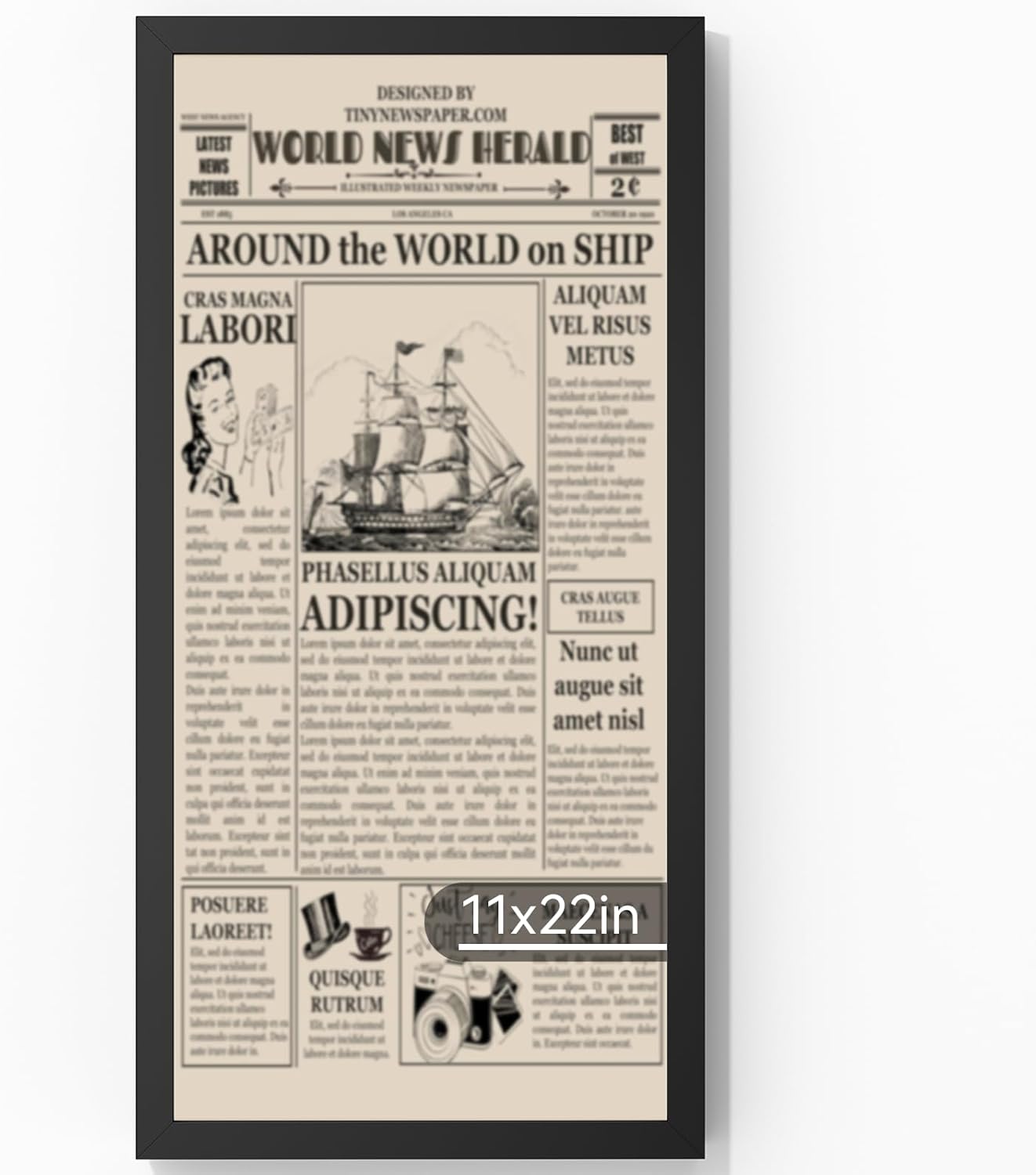 11x22 Aluminum Metal Newspaper Frame,Tempered Glass Black 11 x 22 Poster Frame Fits 11x22 Inch Newspaper, Assorted Media Cover Frame Modern Picture Frame for Wall Display