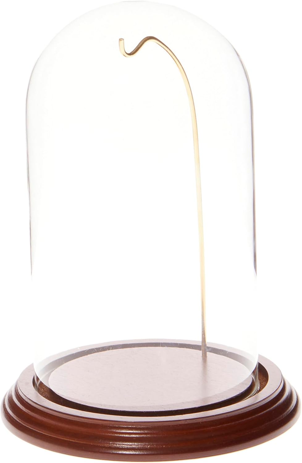 Plymor 4" x 7" Watch/Ornament Glass Display Dome
