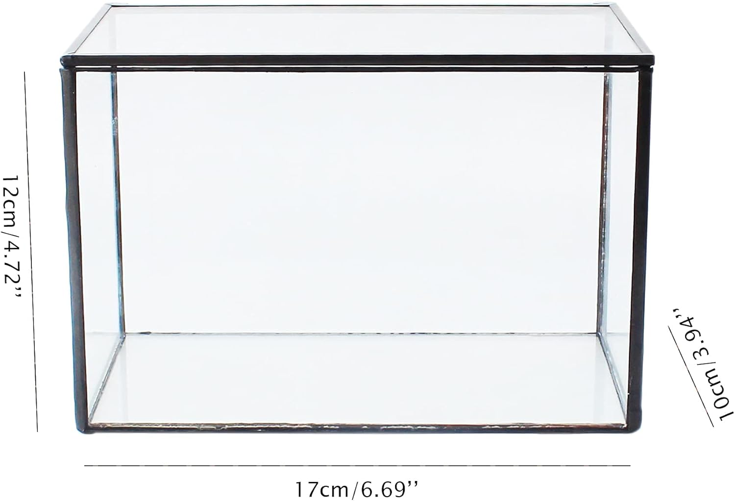 Rectangle Small Plants Terrarium with Lid, Black Geometric Clear Planter Pot, Little Glass Container Box for Tabletop Decor,6.7 x 3.9 x 4.7 inches