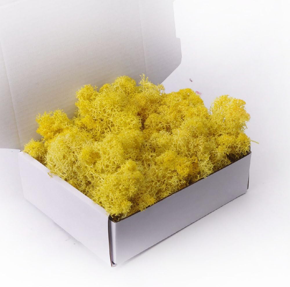 Preserved Moss - 3.5 OZ Faux Moss Decor for Crafts, Art, Wall & Florist Decor (Green)