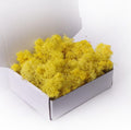 Preserved Moss - 3.5 OZ Faux Moss Decor for Crafts, Art, Wall & Florist Decor (Green)