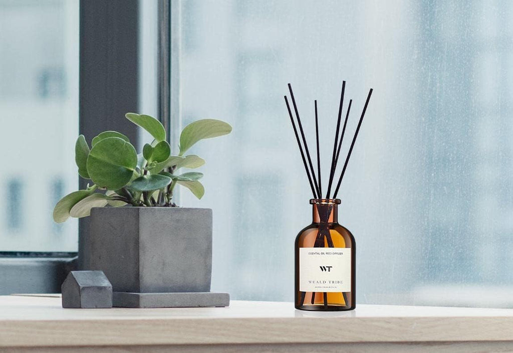 WEALD TRIBE Reed Diffuser Set for Bathroom Air Fresheners, Oil Diffuser Sticks | White Jasmine Scent 4.0 fl oz Home Fragrance with Sticks Defusers | House Bedroom Office Shelf Decor