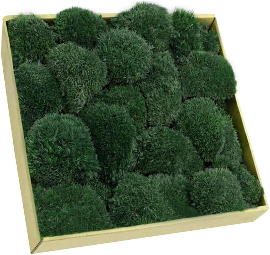 TCYPUHL Preserved Pillow Moss Bulk (1 Sq.Ft Dark Green) - Natural Cushion Moss for Wall Art, Home Decor - Christmas Crafts, Holiday Decorations and Gift Giving DIY Craft, Floral Arrangements
